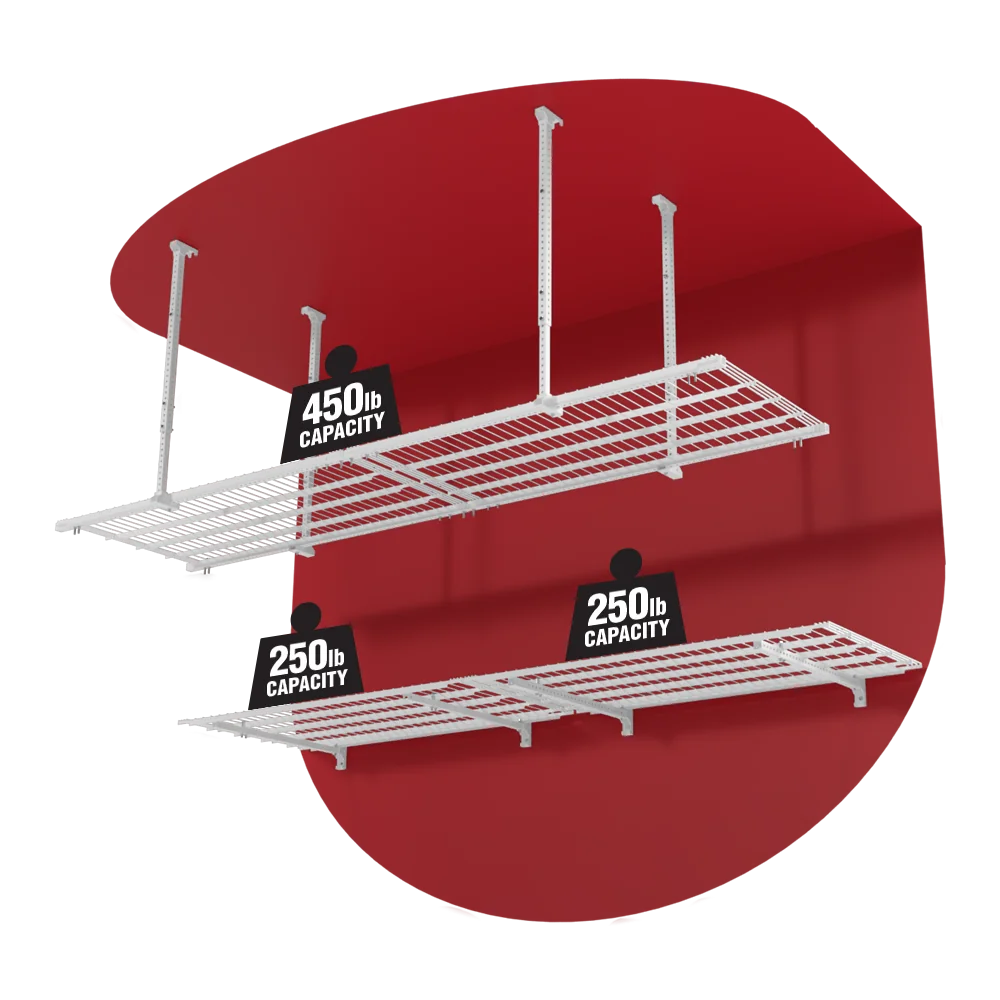 Ceiling & Wall Storage Dynamic Duo